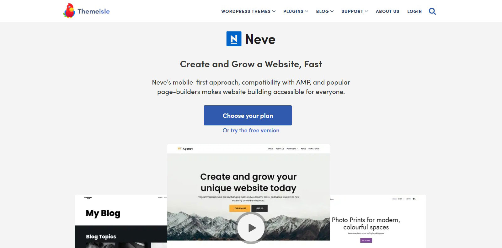 Neve-Super-Fast-AMP-&-Gutenberg-Ready-WordPress-Theme