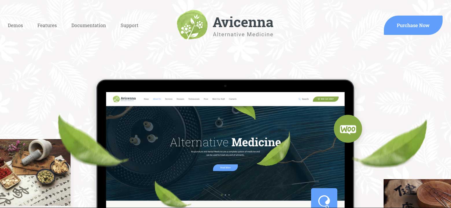 Avicenna-Alternative-Folk-Medicine-Doctor-WordPress-Theme-Shop-Pr