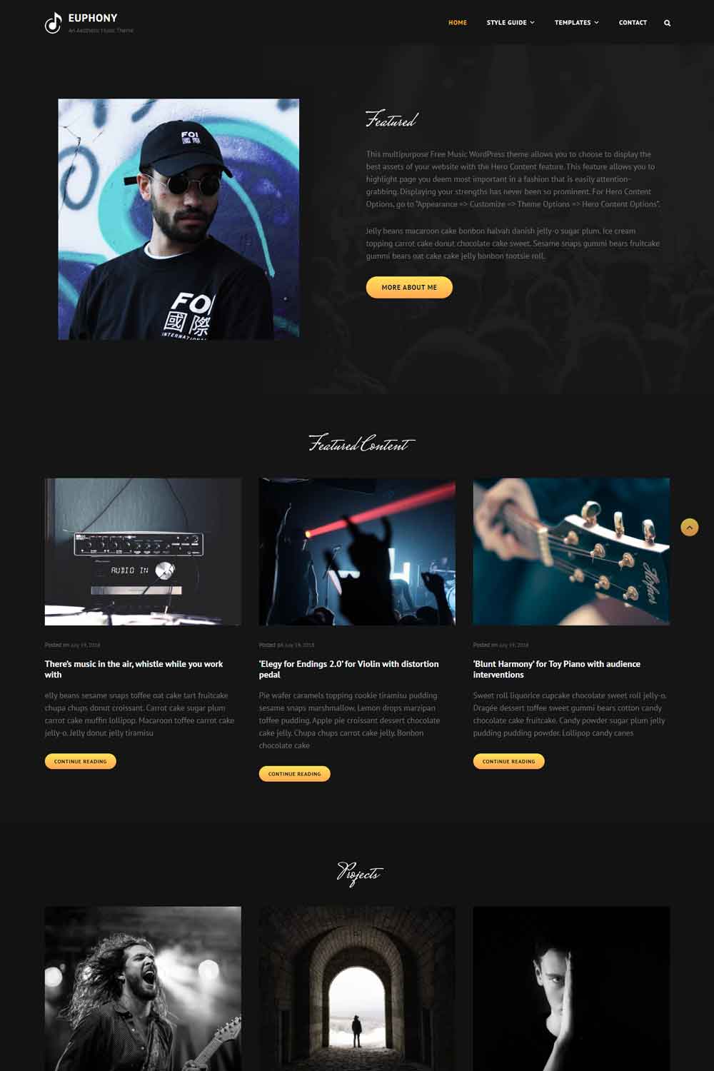 15-best-musician-wordpress-themes-free-paid