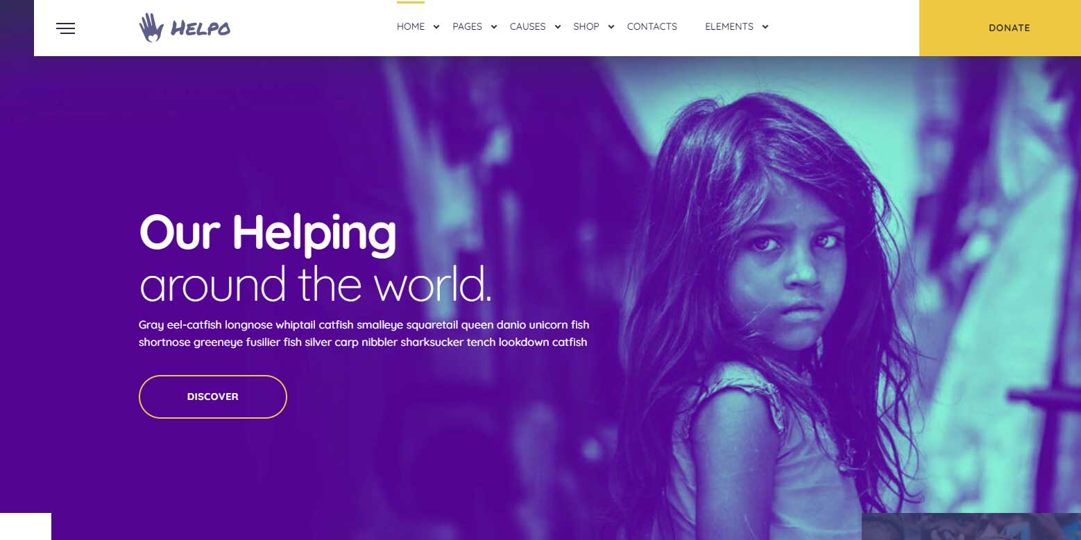 Helpo-Nonprofit WordPress Themes