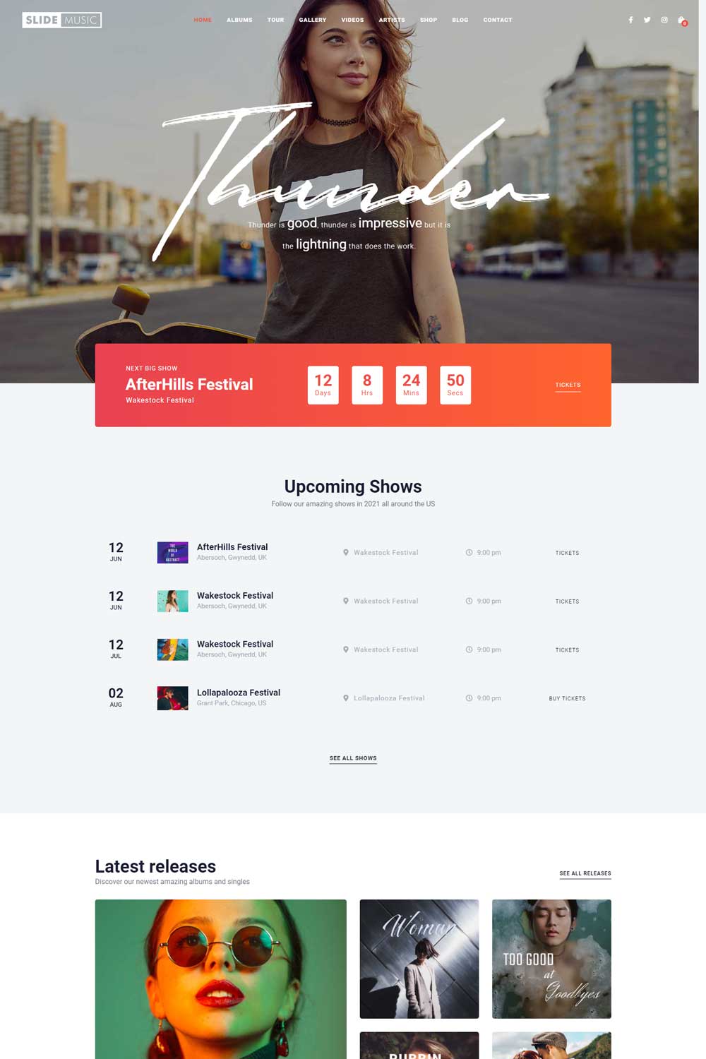 Slide - Musician WordPress Themes