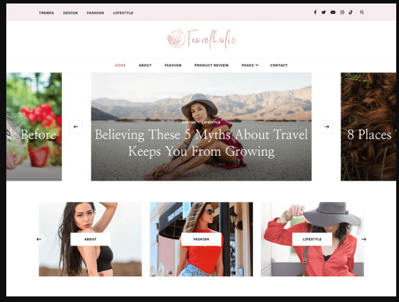 Travelholic WordPress Theme By Rara Theme