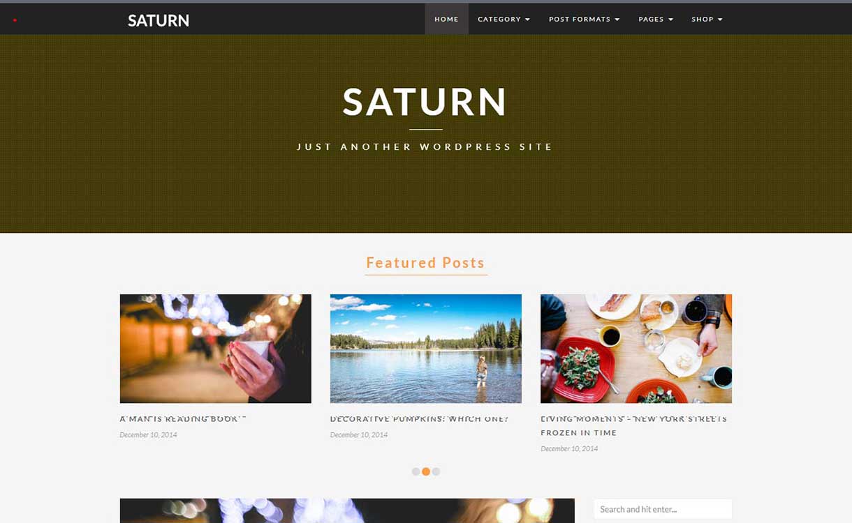 SATURN - Travel Blog WordPress Themes 