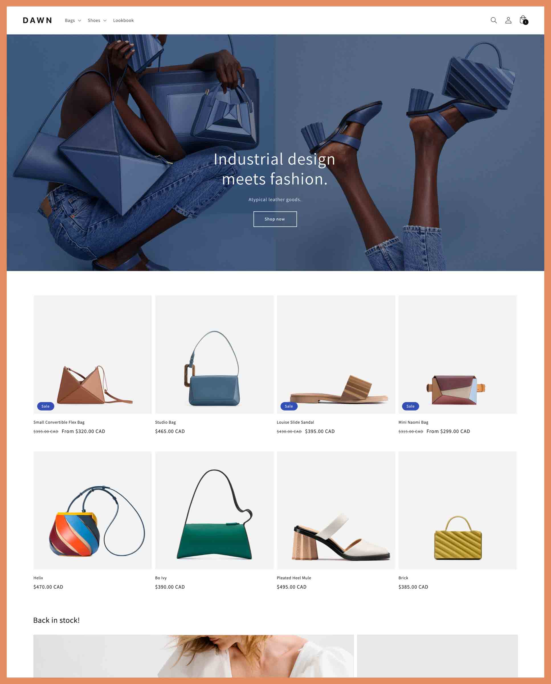 17+ Best Shopify Themes for Clothing Brands (Free & Paid)