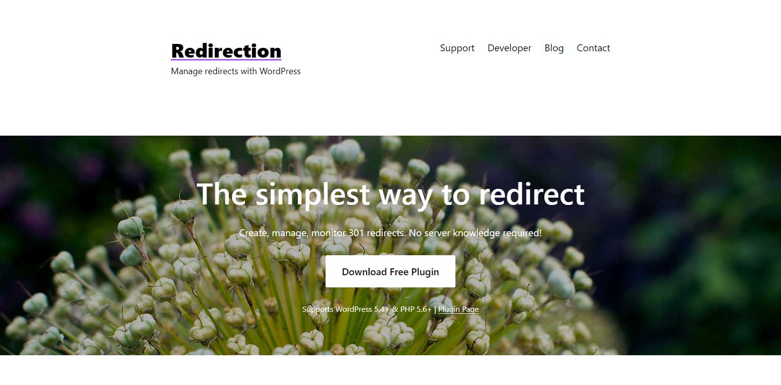 Redirection WordPress Plugins for SEO